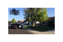 Attempted Arson Arrest Follows Standoff with Cops