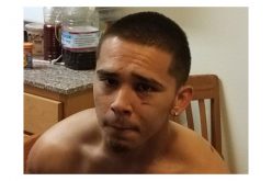 Back to Jail for Convicted Felon Caught with Gun
