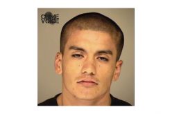 Car Thieves Busted