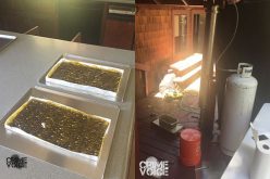 Honey Oil Lab Bust Yields 3 Arrests