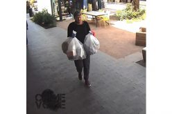 Brazen Bandit Being Sought
