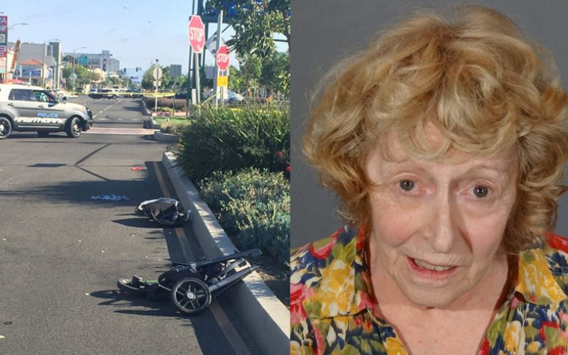 Donna Marie Higgins Finally Pleads Guilty For Pedestrian Hit-And-Run Death, Sentenced to Prison