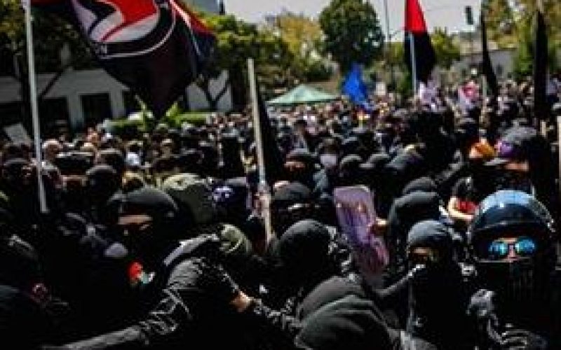 13 Arrests Made During Protests; Officer Injured, Police Hit with Paint