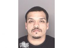 “Magnum” Force Nabs Car Thief
