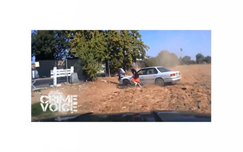 Officers Arrest Two and Shut Down Chop Shop