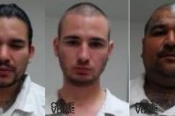 Gang-banger Drug Dealers Charged