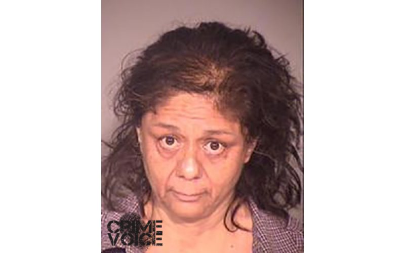 Surveillance Video Nabs Female Burglar