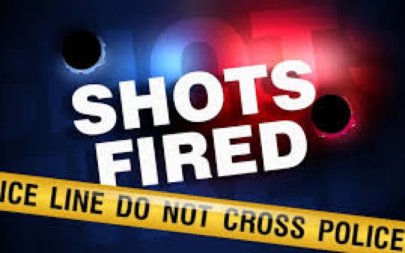 Shots Fired from Bishop Area Home