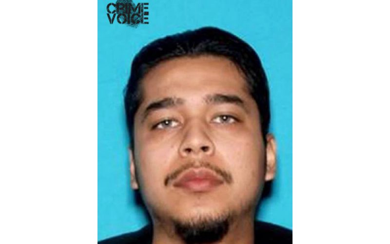 25 Years in Prison for Fatal Hit-and-Run