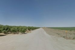 Stolen Vehicle Crashes, Two Arrested