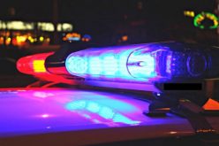 Gangsters Busted in “Cat in the Hat” Operation