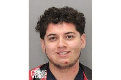 Day-Long Crime Spree Ends with Five Arrests