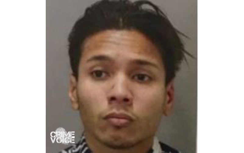 Serial arsonist responsible for 14 fires Arrested