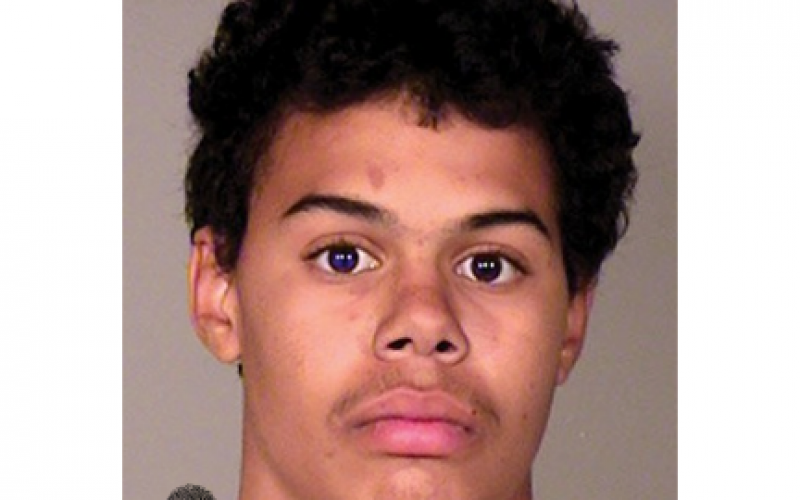Twin Burglars Busted