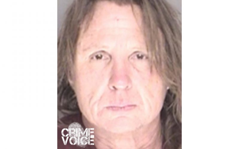 Felony Bust Follows Long Car Chase
