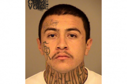 Gang Bangers Busted