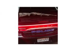 Illegally Tinted Windows Leads to 2 Arrests