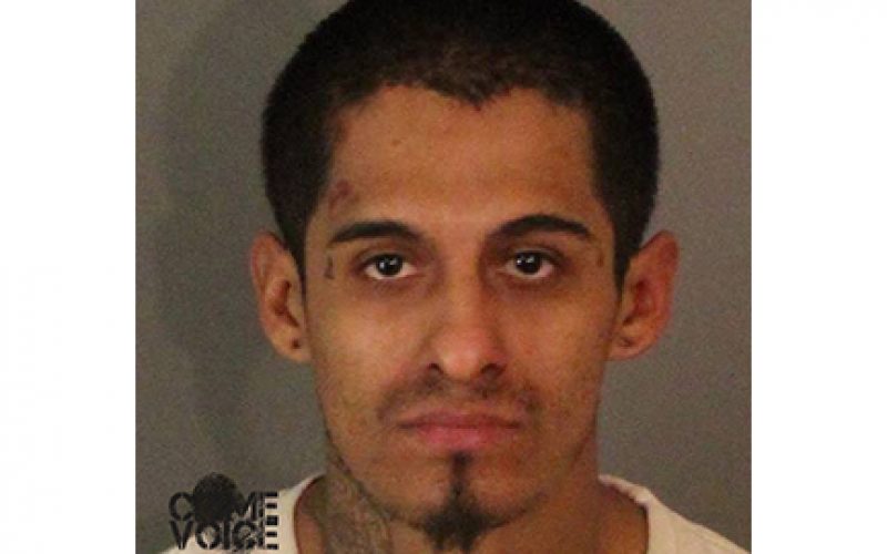 Victim Witnesses Home Burglary Attempt on his Home Security System