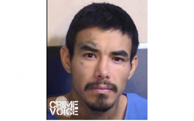 Fresno County Detectives Take Pedophile off Streets