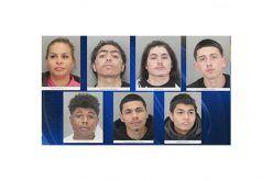 12 members of SJ gang arrested for over 30 violent robberies, carjackings