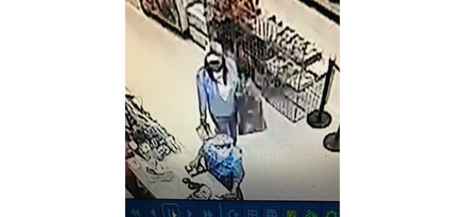 Police investigating fraudulent purchases after credit card thefts in Davis, Vacaville