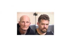 Thieves Caught Red Handed by Trail Camera