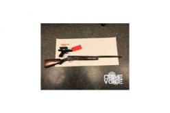 Gang Suppression Detail Arrests 18-Year-Old with Fully-Loaded Stolen Firearms