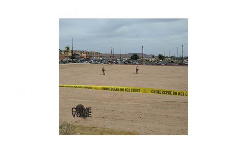 Driver Reverses to Strike Patrol Car, Accelerates Toward Police, is Fatally Shot