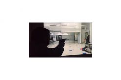 Force Option Simulator Training for Legislators