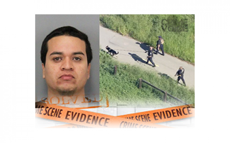 Arrest made in rape of female high school jogger in Palo Alto