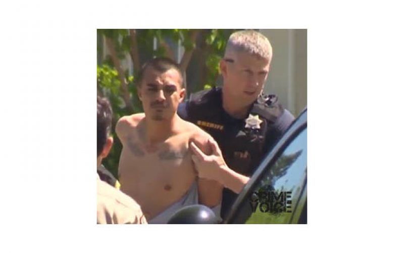 Wild Day of Stabbing, Attempted Robberies and Stand-Off