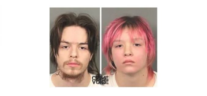 Elder abuse call yields weapons cache, samurai swords