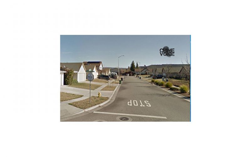 Newly Released Juvenile Re-offends with Theft From Vehicle