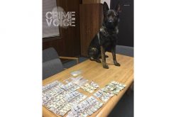 K-9 Kai Helps Arrest 3 for Drugs