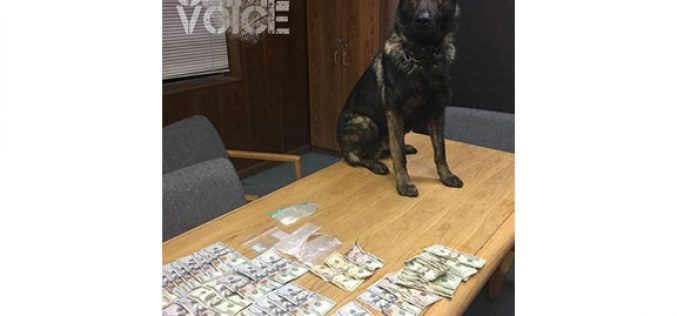 K-9 Kai Helps Arrest 3 for Drugs