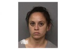 Resident Encountered Two Burglars