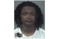 Running Burglar Cannot Evade Police