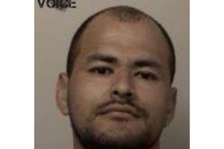 No Contest Plea in El Dorado DUI Death in February