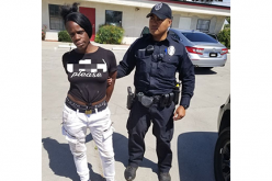 Three Different Auto Theft Arrests in One Day