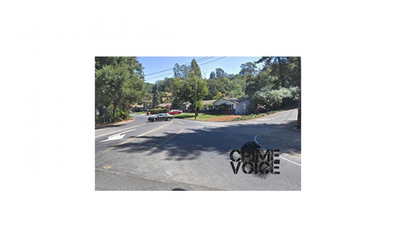 One Person Arrested, One at Large in Armed Robbery