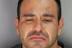 PPD Reports Assault on Their K-9 in DUI Pursuit
