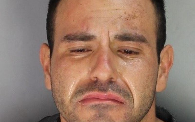 PPD Reports Assault on Their K-9 in DUI Pursuit