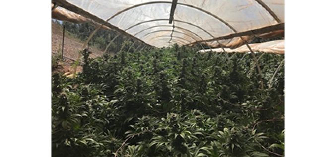Commercial Medical Cannabis Site….Not