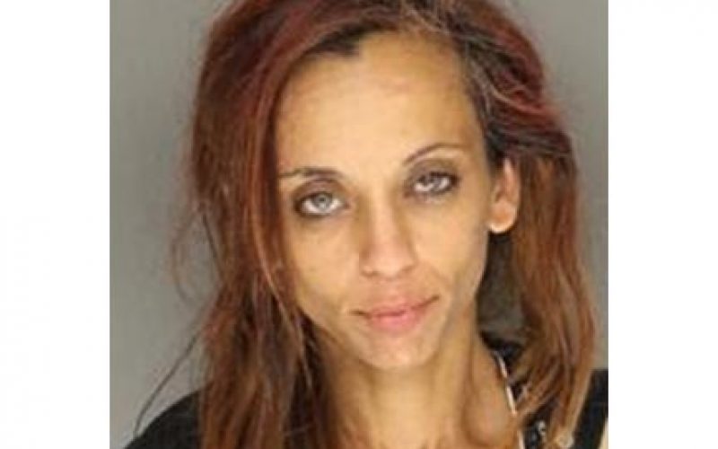 Female Getaway Driver Arrested After Fleeing a ‘Possible Robbery’