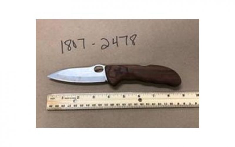 Suspect Arrested for Threatening Employees at Pizza Parlor