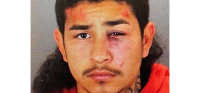 2 Separate Incidents of Weapons Possession, 6 Arrests