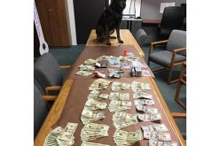 K-9 Kai Assists in Traffic Stop Drug Bust