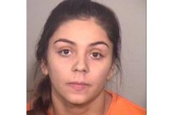 Gang-banging Broad Daylight Burglars Busted