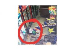 Police Nab Burrowing Burglar Who Dug a Tunnel to Inland Dairy Store