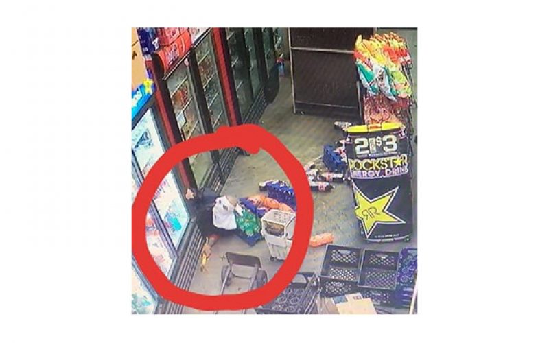 Police Nab Burrowing Burglar Who Dug a Tunnel to Inland Dairy Store